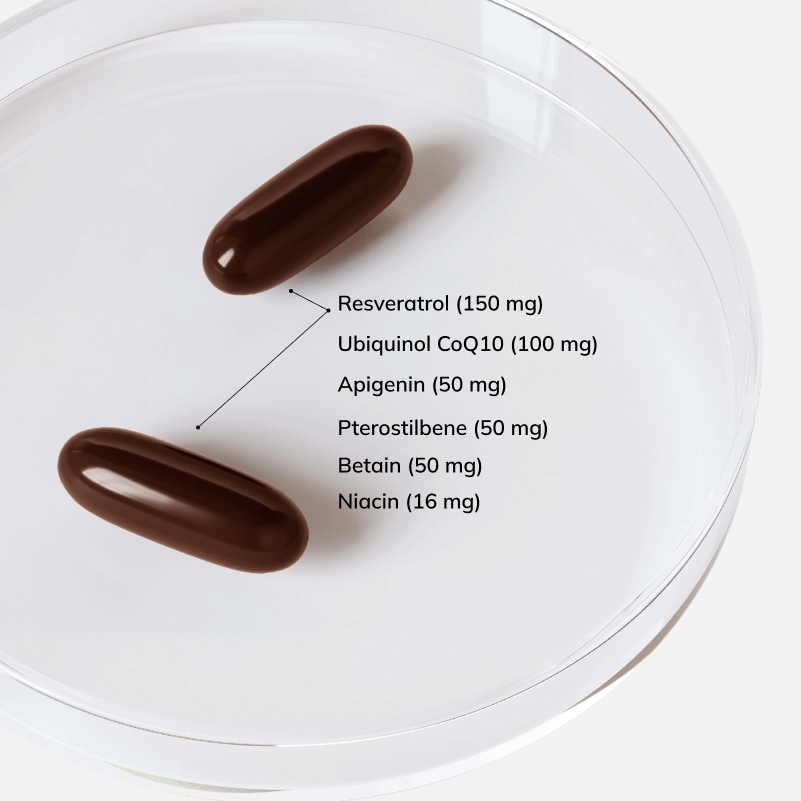 BOOSTER_INGREDIENTS_CS_LANG_DE.png