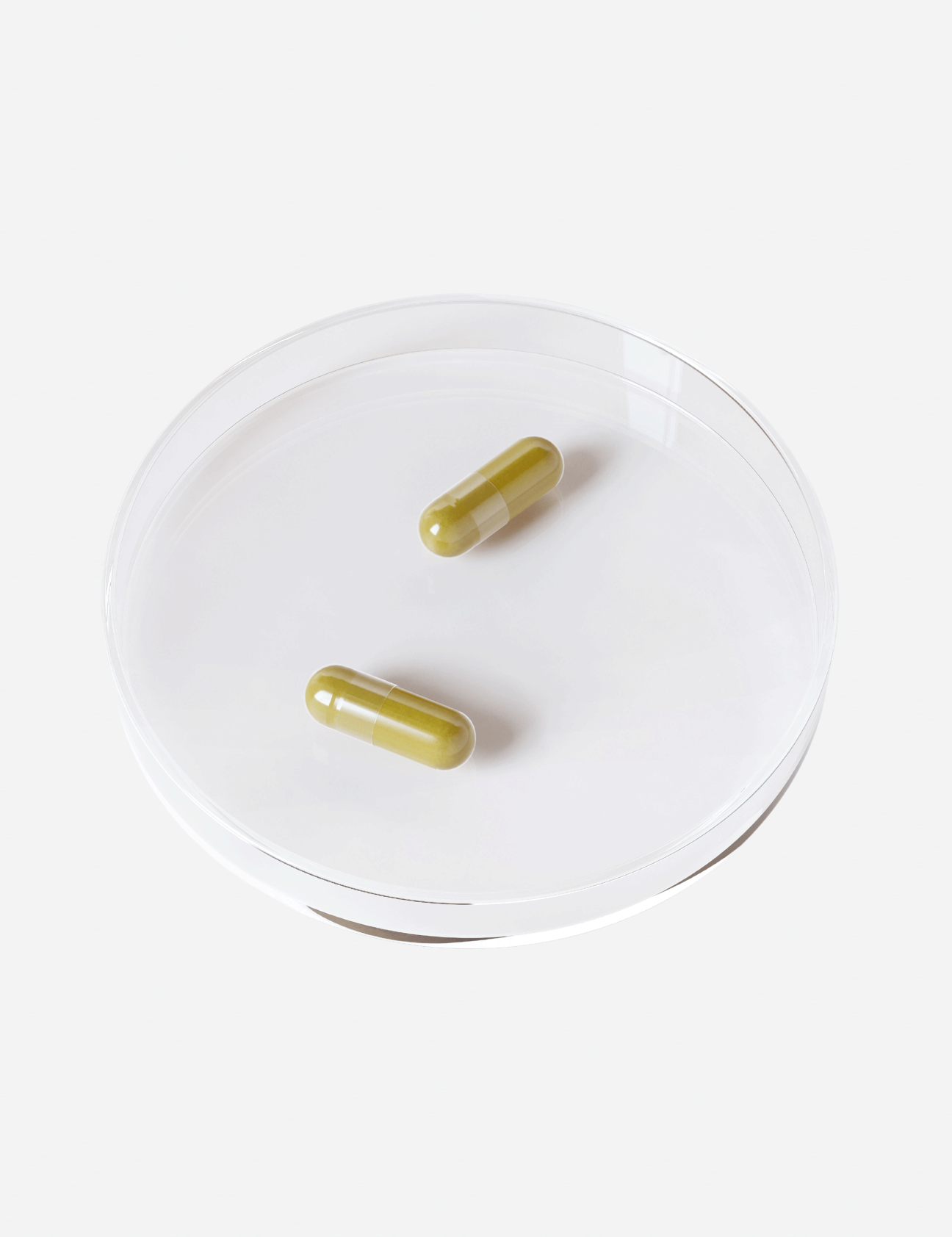 CA_Petri_Dish_Web_1x_2.0.png